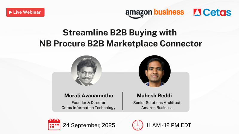 Streamline B2B Buying with  NB Procure B2B Marketplace Connector